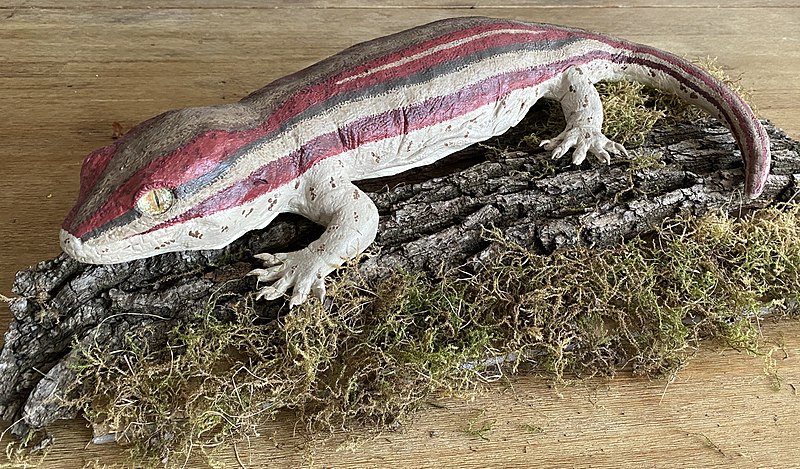 a lizard on a log