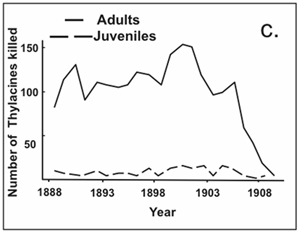 Diagram: Number of prey Tasmanian tigers killed