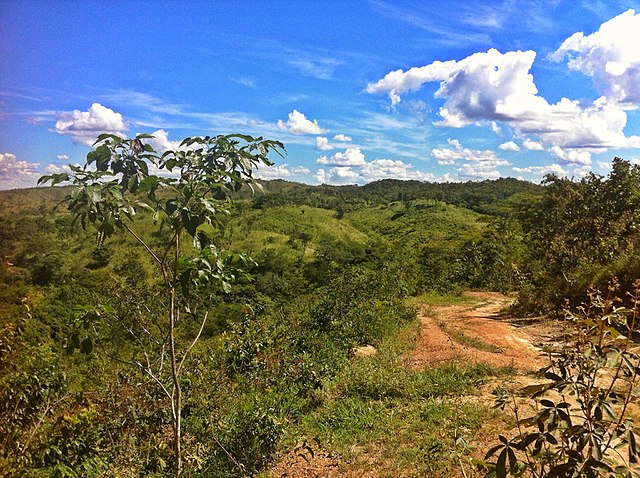 Cerrados Brazil