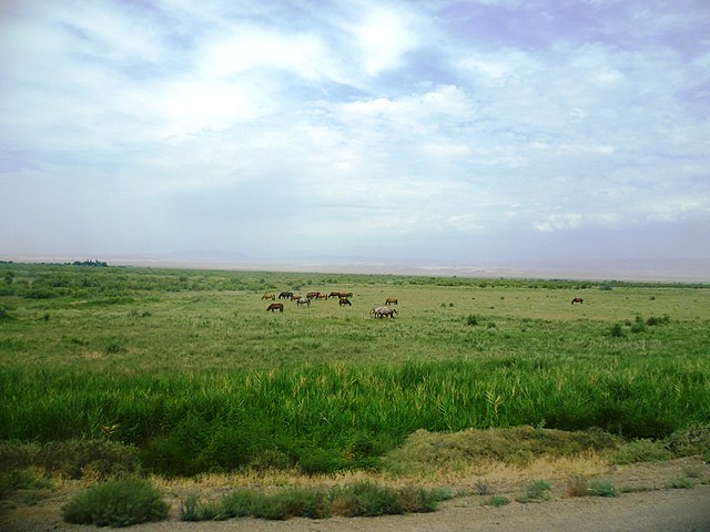 Preventing the Sixth Mass Extinction by Protecting the Kazakhstan Steppe