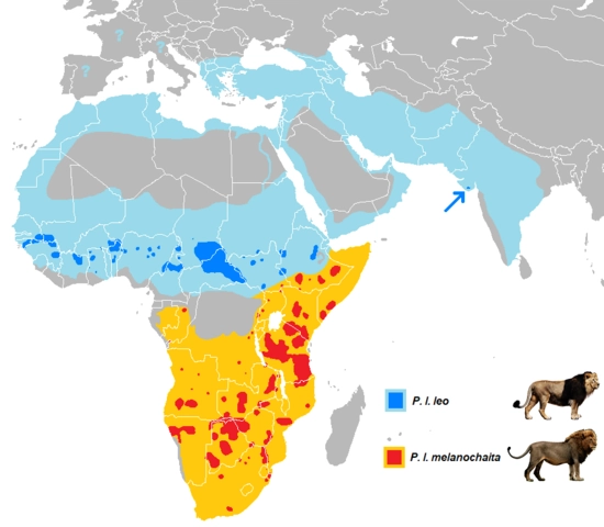 Lion distribution map