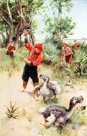 Dodo hunting picture