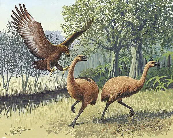 Giant Haast's eagle attacking New Zealand moa