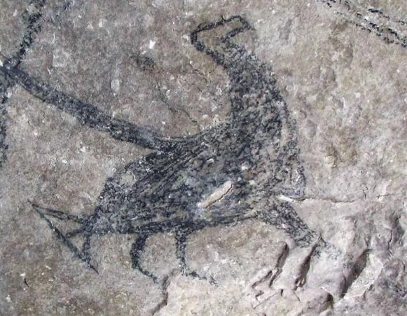 rock drawing, , thought to depict Haast's eagle